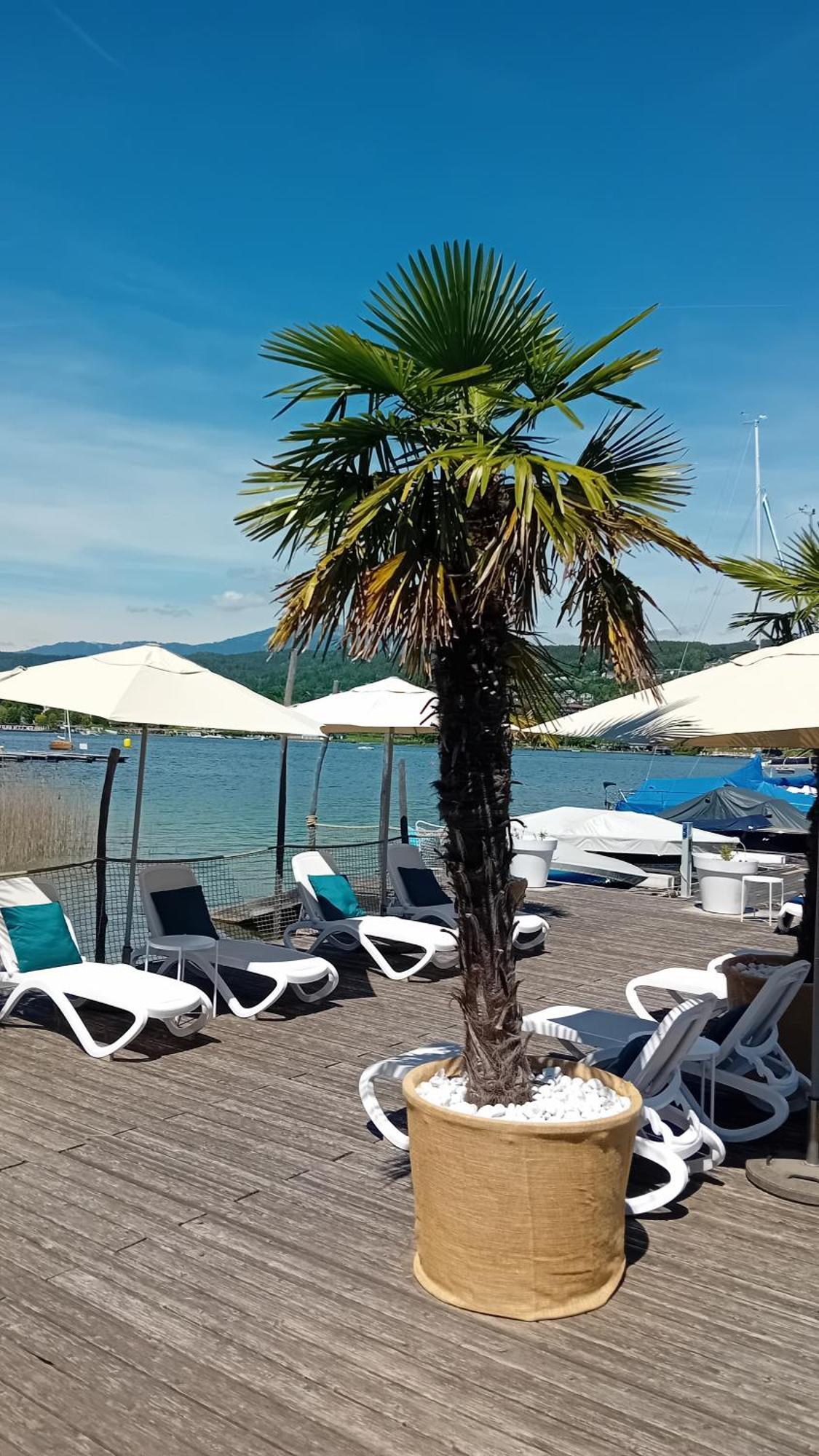 Tennis & Yacht Hotel Velden 벨덴암워스에르시 외부 사진